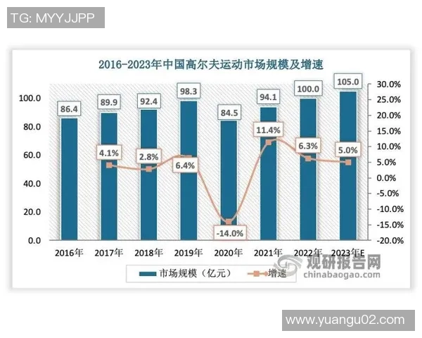 南京羽毛球队心理素质深度对比分析及其对比赛表现的影响探讨